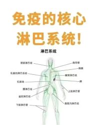 -名发世家烫染