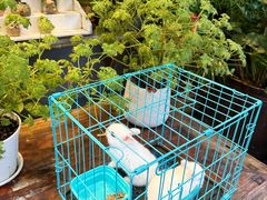 景观位-懒人盐府人家(安贞店)