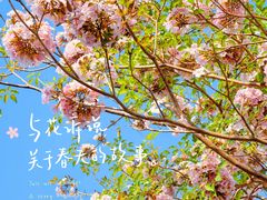 -东莞植物园