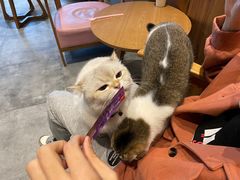 -凯德广场(武胜路店)