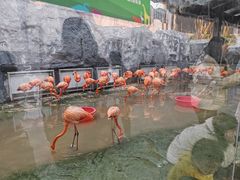 -武汉动物园