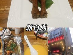 -新白鹿餐厅(龙游路店)