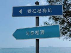 -杨梅坑