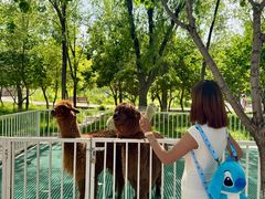 -水上乐园·欢乐世界