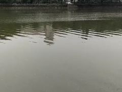 -艾溪湖湿地公园