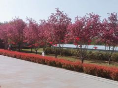 -洛阳龙门站