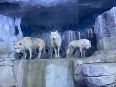 -多彩贵州城极地海洋世界