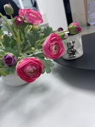 -韩美绣·骨相纹眉·洗眉美瞳线