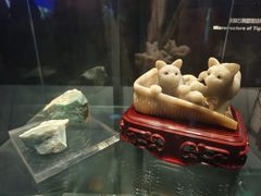 -中国地质博物馆