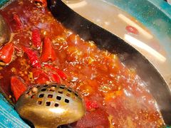 -吼堂老火锅(太古里总店)