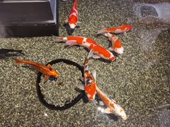 -七里庄(地铁站)