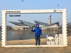 -盐城丹顶鹤湿地生态旅游区