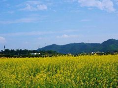 -光明小镇欢乐田园