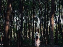 -广富林郊野公园