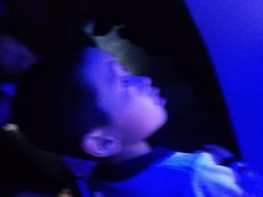 -泉城欧乐堡海洋极地世界