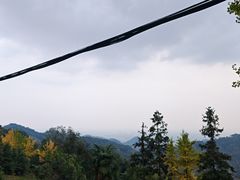 -凤栖山