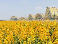 -中国天府农业博览园