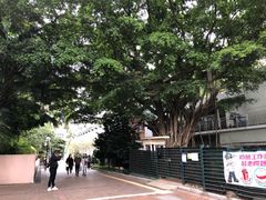 -九龙公园