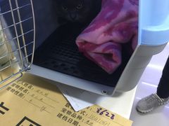 -瑞派宠物医院·24h·骨外科·皮肤科·全科宠物医疗转诊中心(沈阳浑南院)