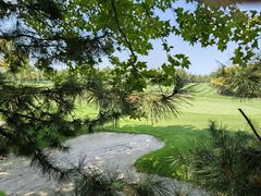 -渔家小院观海海肠捞饭地方菜(环海中路店)