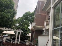 -张江汤臣豪园一期