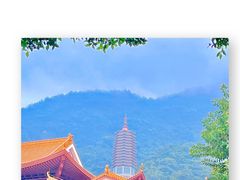 -深圳市中科院仙湖植物园