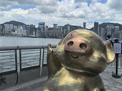 -星光大道