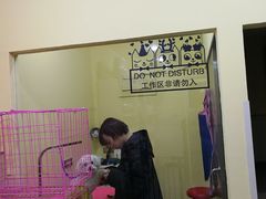 -瑞鹏宠物医院·爱宠堂·骨外专科(西荷分院)