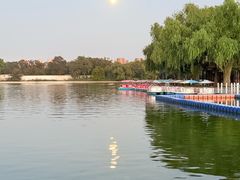 -北陵公园
