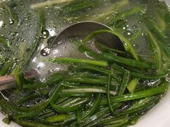 -马帮菜馆·美味野生菌