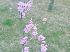 -汉长安城未央宫国家考古遗址公园