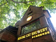 -Boxing Cat Brewery拳击猫精酿啤酒馆(永福店)