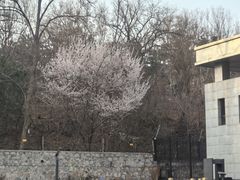 -北京十三陵国家森林公园蟒山景区