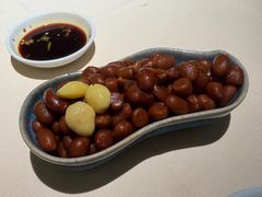 经典牛肉卤水花生-侨美食家·粤菜(体育西路店)