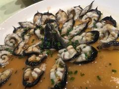 -宝界普菲特湖畔酒店