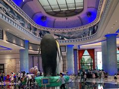 -帝企鹅自助餐厅•儿童岛•真企鹅(长隆企鹅酒店)