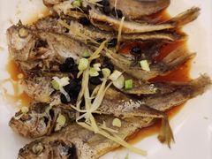-稻香酒家·33年老字号·港式粤菜(富邦中心店)