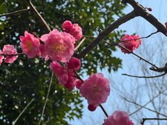 -静安雕塑公园