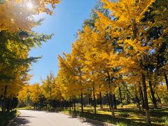 -中家鑫园温泉酒店鑫悦汤泉