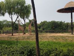 -济南野生动物世界