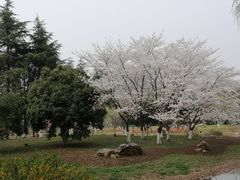 -堤角公园