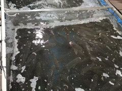 -鲤鱼塘农家山庄