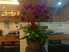 -如意馄饨(太平北路店)