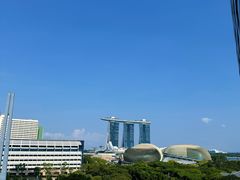 -新加坡瑞士史丹福酒店