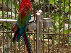 -南宫五洲植物乐园