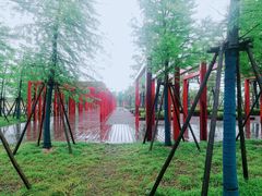 -春花秋色城市公园