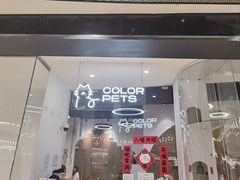 -COLOR PETS 撸猫馆·购猫·猫咖(长风大悦城店)