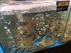 -蟹之国·精品蟹料理(极地店)