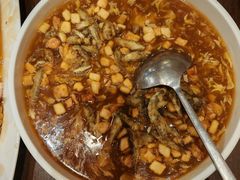 东平酸辣鱼汤-老牌坊鲁菜名店(宽厚里店)