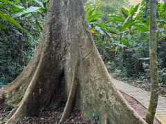 -中国科学院西双版纳热带植物园